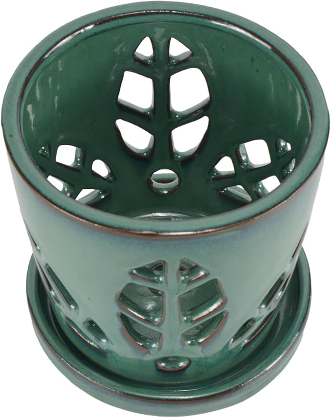 W&W Orchid Pot with Holes and Saucer for Repotting, 5.5 Inches, Grenn