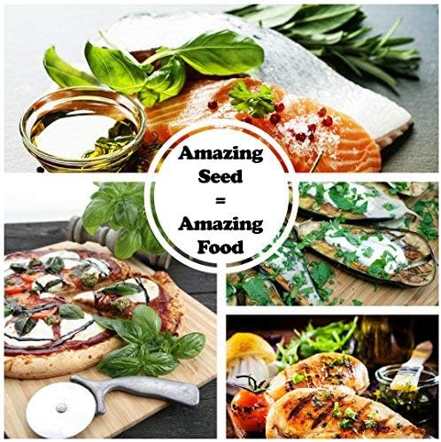 10 Varieties, Herbs de Provence Herb Seed Collection - French Culinary Herb Seeds - Non-GMO Heirloom Seeds by Sustainable Seed Company (Collection Only)