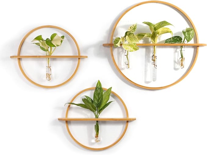Plant Propagation Stations - Set of 3 Bamboo Wall Planters for Indoor Plants with 5 Glass Plant Propagation Tubes | Propagation Vases for Plants | Aesthetic Plant Wall Decor