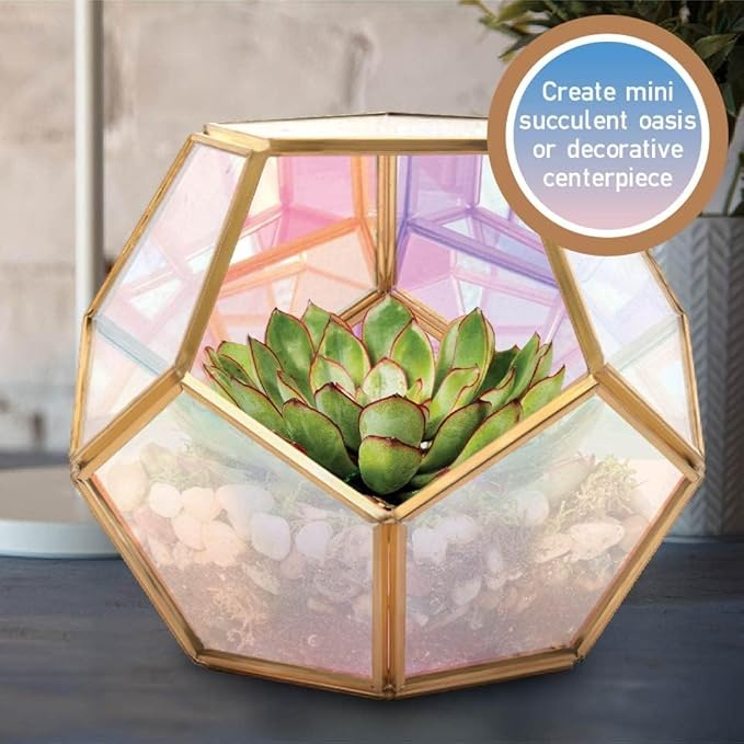 D'Eco Iridescent Glass Centerpiece (7x7x6) - Tabletop Planter Terrarium for Home & Wedding Decor - Fill with Succulents, Moss, Holiday Decorations, Mini Trees & Ornaments - Xmas Gift for Plant Lovers