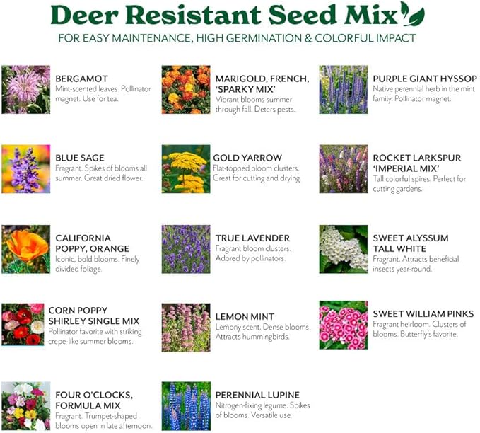 Grow Your Own Vibrant Annual and Perennial Wildflower Garden Seed Mixture, Varieties for Pollinators and Spring Gardens - Deer Resistant Mix, 1/4 lb