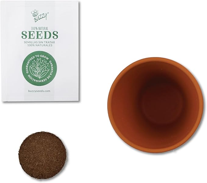 BUZZY Seeds Terracotta Mini Grow Pots Flower Plant Starter Kit – Love Collection Assorted 12-Pack – Indoor DIY Garden Kit – Perfect Wedding Favors, Bridal Shower Gifts & Gardening Gifts