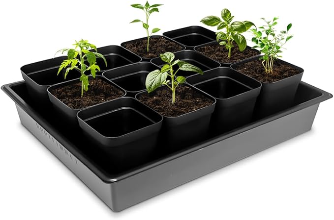 Seed Starter Tray, 10 Packs Plant Tray, Durable Plastic Growing Trays, Stackable Seedling Starter Trays Perfect for Indoor, Outdoor, Greenhouses, 16.5" L x 13.2" W x 2.8" H - Black