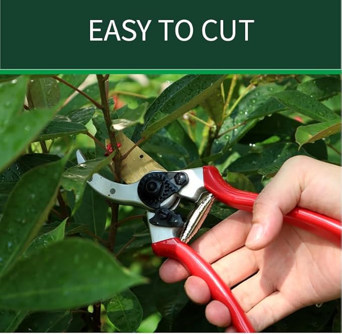 Pruning Shears Gardning Tool