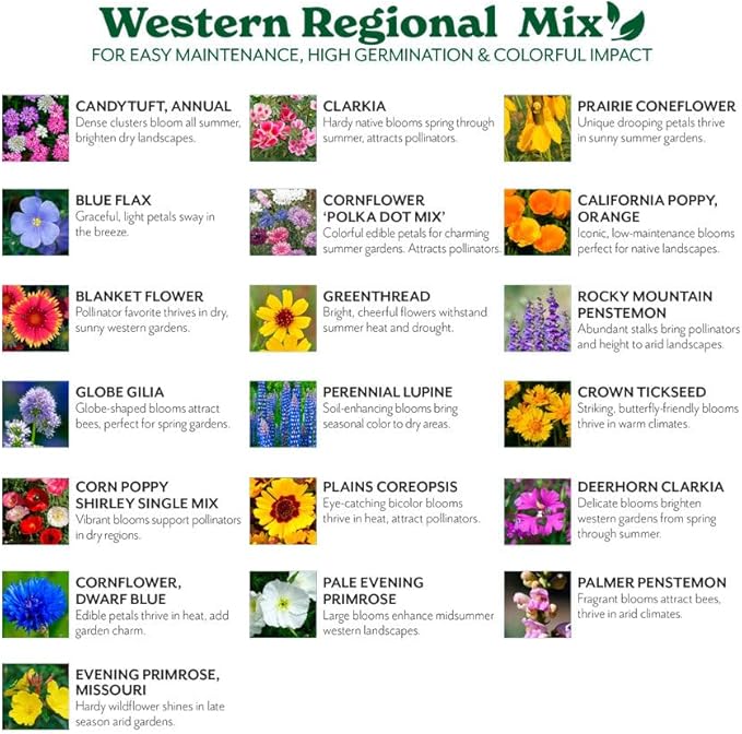 Grow Your Own Vibrant Annual and Perennial Wildflower Garden Seeds Mixture, Varieties for Pollinators and Spring Gardens - Western Regional Mix, 25 lbs