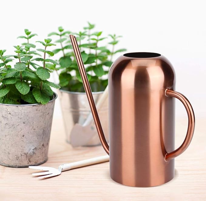 Stainless Steel Watering Can, 1.5L/53oz Small Watering Can Indoor Plants with Long Spout Outdoor Watering Can Pot Modern Style Plant Watering Can for Garden Flower Decorative