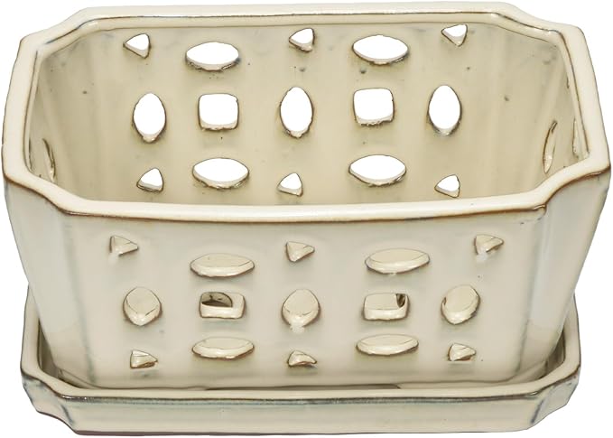 W&W Orchid Pot with Holes and Saucer for Repotting and Better Grow, Cream White, 9.7 Inches