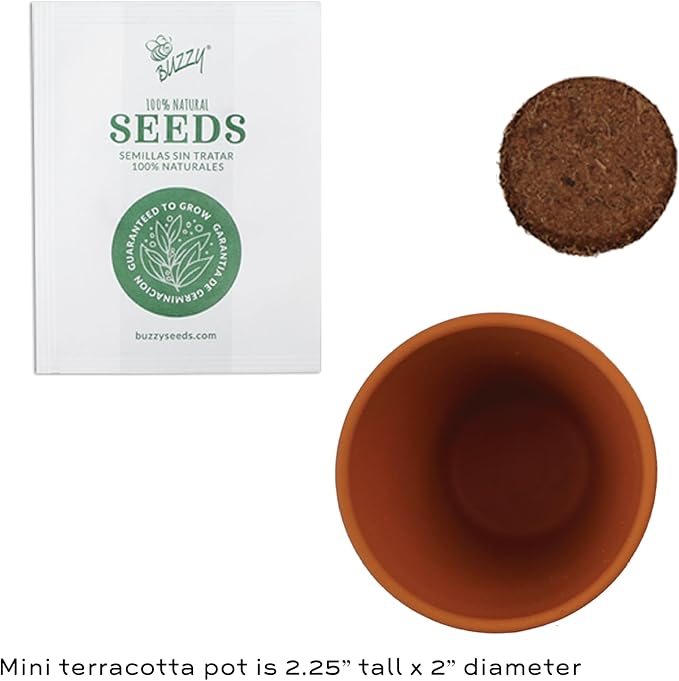 BUZZY Seeds Forget-Me-Not Terracotta Mini Grow Pots Love Collection, 12-Pack All-in-One Gardening Kit for Wedding Favors, Prizes, Birthday Gifts, or Party Favors
