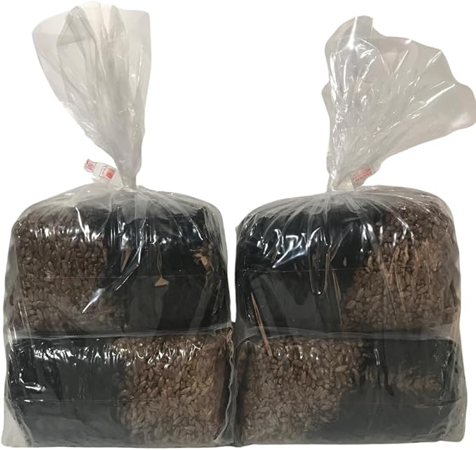 Mushroom Grow Kit - All in One Mushroom Grow Bags - 4 Pack