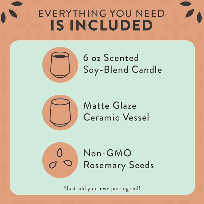 Modern Sprout Rooted Candle - 2 in 1 Cucumber Scented & Soy Candle with Seeds That Grows into Rosemary Plant - 6 oz w/ 42 Hr Burn Time in Matte Glaze Ceramic Vessel Ideal for Indoor Herb Garden