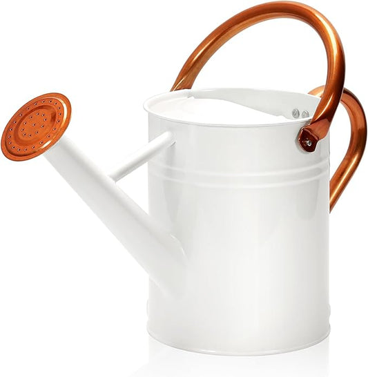 Metal Watering Can with Removable Spout, Galvanized Watering Can, Perfect for Indoor Use and for Outdoor Use (1 Gallaon, White)