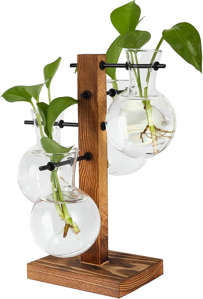 PAG Planter Terrariums Kit Desktop Hydroponics Air Plant Holder with 4 Bulb Beaker Glass Vase and Solid Wood Stand, Home Office Decoration Gardening Gift for Women