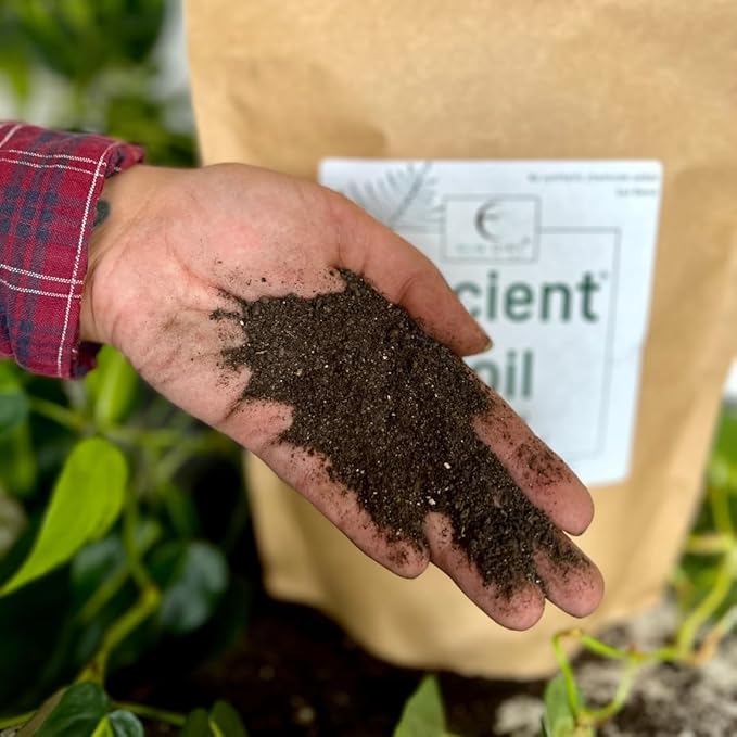 Elm Dirt Premium Ancient Soil for All Plants - Organic for Outdoor & Indoor Use | Garden Soil for Plant Nutrients Growth & Protect From Bugs - Roots Organic, 10lbs
