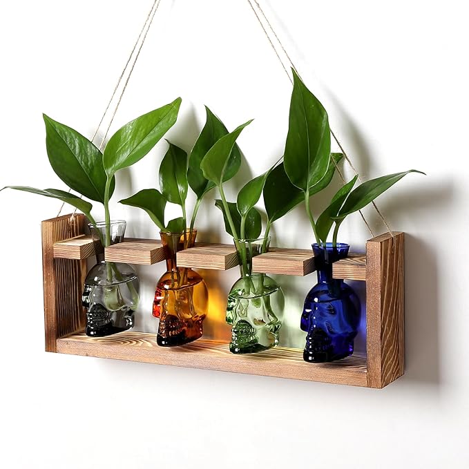 Plant Propagation Stations Halloween Skull Plant Terrarium Kit Glass Vases Gift for Father Air Planter Home Office Decor