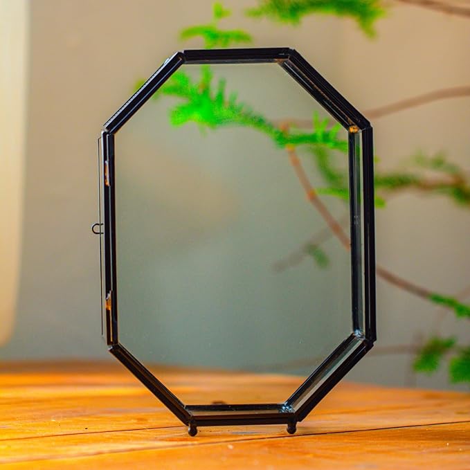 NCYP Glass Enclosure Terrarium with Mesh and Door for Jumping Spiders, Insects - Octagon Shape Small Succulents Terrarium 6.2 x 3.1 x 8.7 inches, Black Tabletop Decor (Plants Not Include)