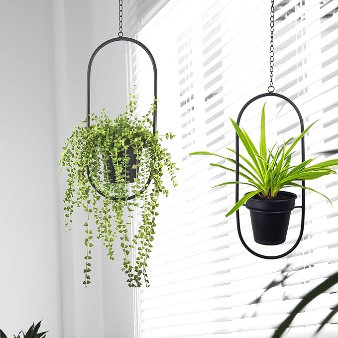 Modern Hanging Planters for Indoor Plants, Metal Plant Hanger with 5 inch Flower Pots,Set of 2 Black Oval Shape Plant Holders, Wall and Ceiling Hanging Pots for Outdoor Plants, Home Décor