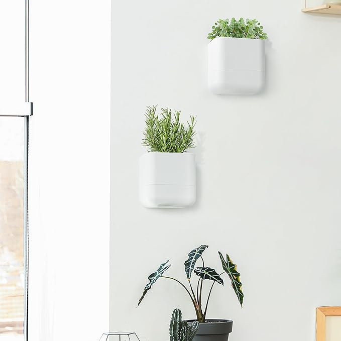 Phoenix Vine 6.5-Inch Wall Mounted Self-Watering Planter Pot for Indoor Houseplants and Herbs | Modern Hanging Planter for Window Sills, Bathroom Walls, Home & Office Décor, White, Set of 3, 01-WP-W-3
