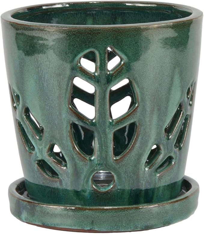 W&W Orchid Pot with Holes and Saucer for Repotting, 5.5 Inches, Grenn Mix