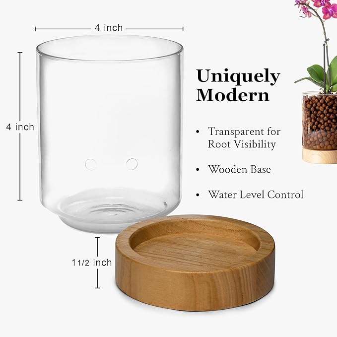 Pot & Pebble - C3 Glass Planter with Wooden Base - Indoor Glass Planter with Water Level Control Holes - Grow Plants in LECA Clay Pebbles