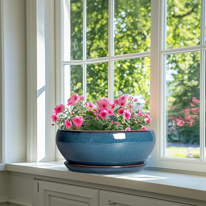 SQOWL Bonsai Tree Pots - 12 Inch Ceramic Succulent Pots, Large Shallow Planter with Drainage Hole and Saucer, Bowl Round Planters for Indoor Outdoor Plants, House Decor, House Warming Gifts, Blue