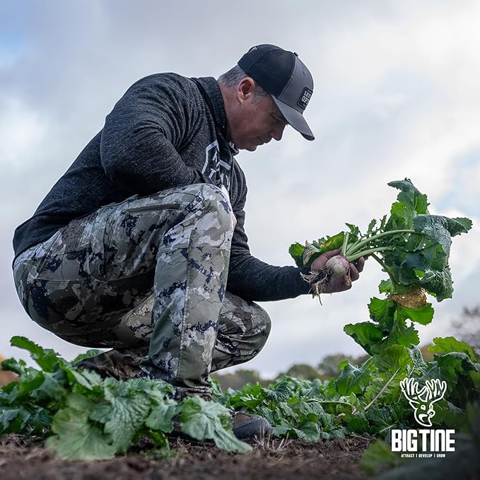 Big Tine Food Plot Mix, Deer Attractant, Advantage Turnips, 3 lbs Bag, Fall/Winter Annual, Extremely Versatile, Drought Resistant