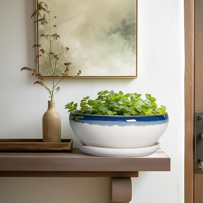 SQOWL Bonsai Pots - 10 Inch Ceramic Pots for Succulents Indoor Outdoor, Shallow Planter with Drainage Hole and Saucer, Round Succulent Planters Bowl, Kitchen Decor, Housewarming Gifts, Blue-Beige