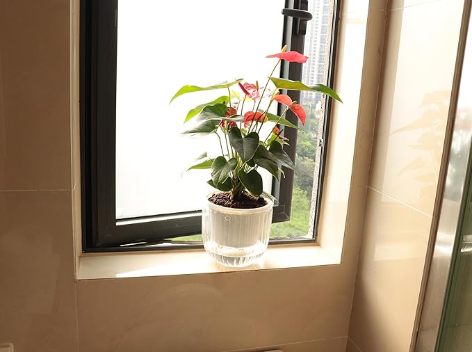 Meicynhoger 2-Pack Clear Self-Watering Hanging Planter for Spider Plant,Ivy,Orchids,Pothos - 6.5" Flower Pot with Hooks for Indoor Outdoor,Table, Balcony, Wall,Deck,Garden Transparent