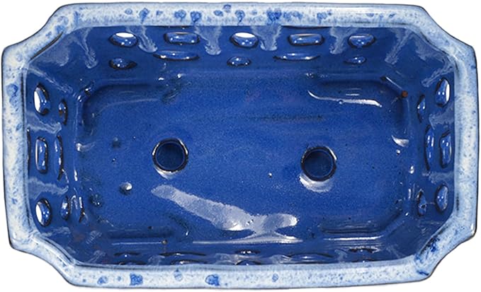W&W Orchid Pot with Holes, Garden Pot for Orchid, Plant and Flower Pots Indoor Outdoor,White and Blue,9 Inches