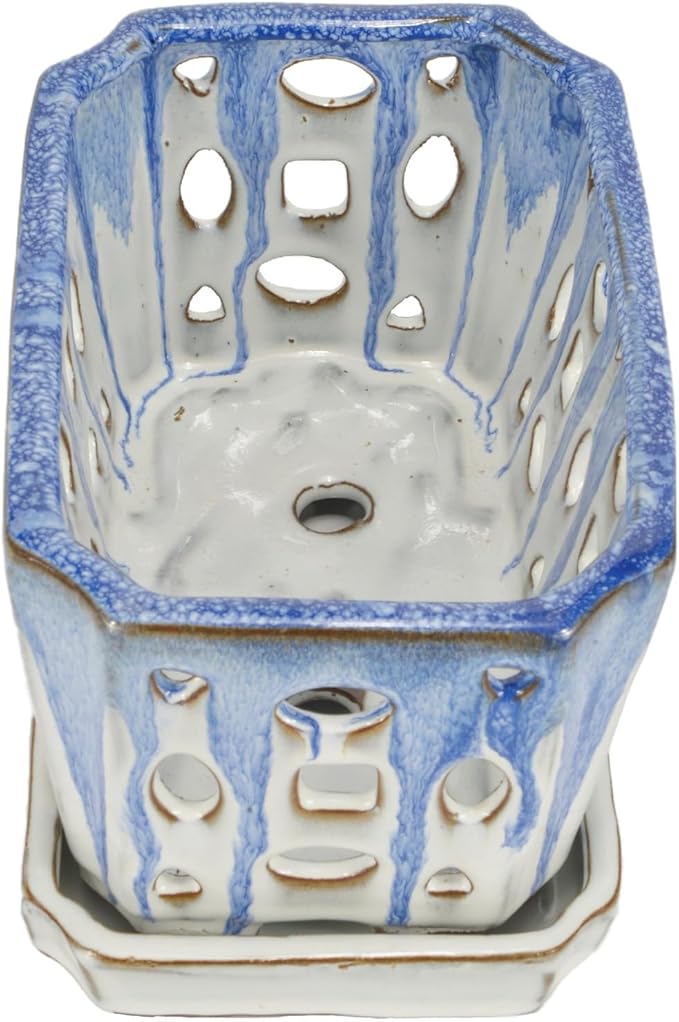 W&W Orchid Pot with Holes, Garden Pot for Orchid, Plant and Flower Pots Indoor Outdoor,Blue and White,9 Inches