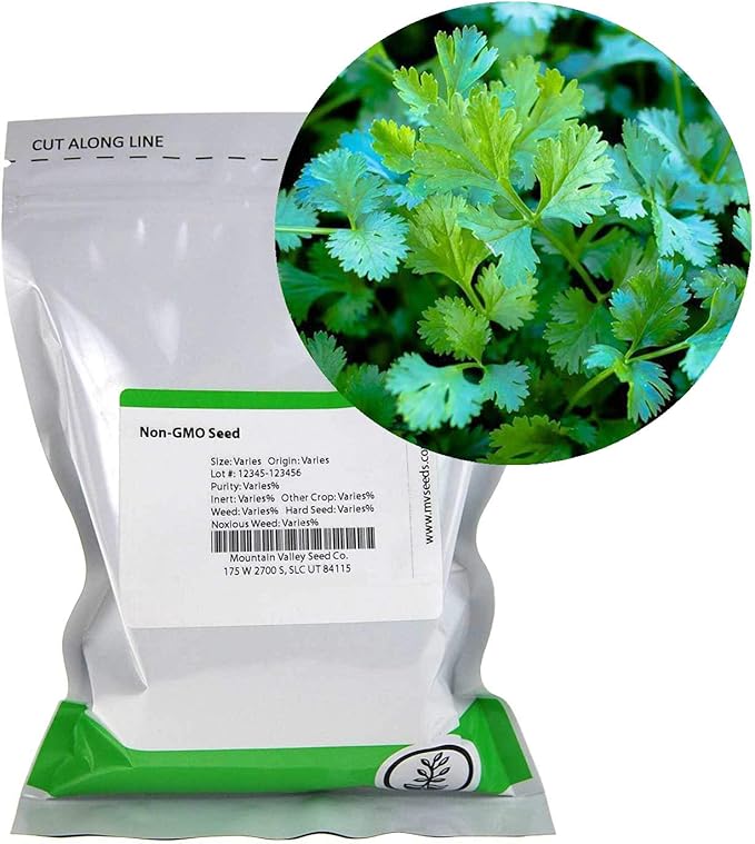 Bulk Slow Bolt Cilantro Seeds – 1 LB – 40,000+ Non-GMO Heirloom Seeds – High-Germination for Microgreens, Herb Gardens & Outdoor Planting – Fresh Coriander Greens for Cooking & Garnishes