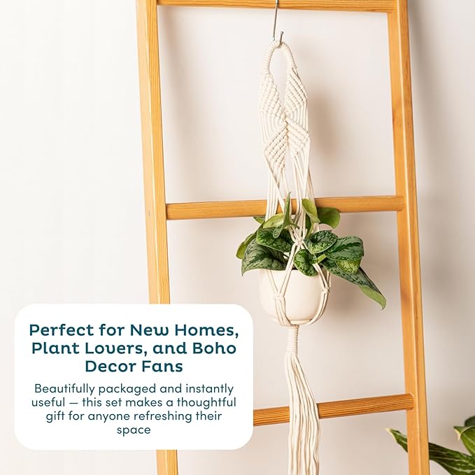 Nook Theory 6-Pack Macrame Plant Hangers with 12 Hooks - Hanging Planters for Indoor Plants, Boho Macrame Hangers Indoor Outdoor, Decorative Plant Hanger Indoor (Cream)