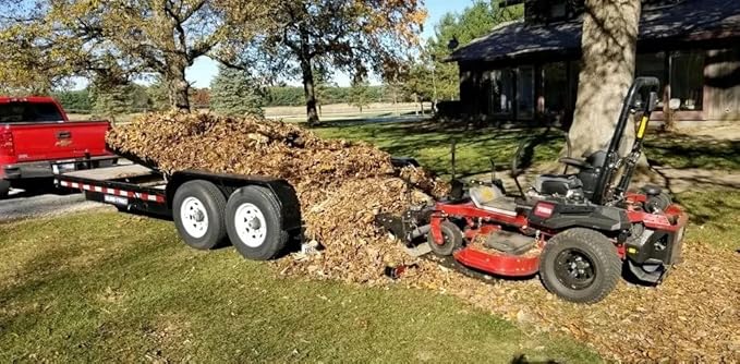 Zero Turn Lawn Mower Rake