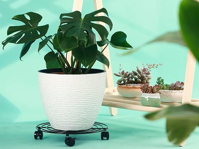 6 Packs 12 Inches Large Metal Plant Caddy with Wheels Rolling Plant Stands Heavy-duty Wrought Iron Plant Roller Base Pot Movers Plant Saucer on Wheels Indoor Outdoor Plant Dolly with Casters Planter Tray Coaster