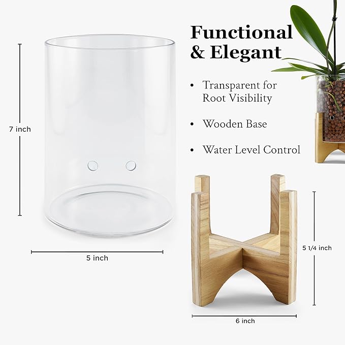 Pot & Pebble - C6 Glass Planter with Decorative Wood Base - Plant Propagation Station with Water Level Control - Plant Cutting Holder for LECA Clay Pebbles/Similar Media - Semi Hydroponic Planter
