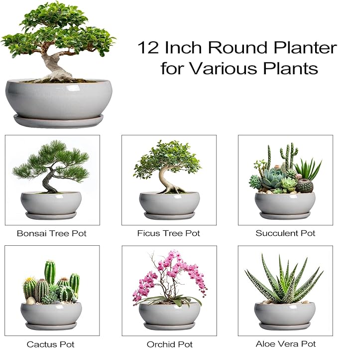 SQOWL 12 Inch Bonsai Pots - Large Ceramic Succulent Pots with Drainage Hole and Saucer, Shallow Planter for Indoor Outdoor Plants Flowers, Round Planter Bowl, Garden Decor, Gifts for Women, Gray