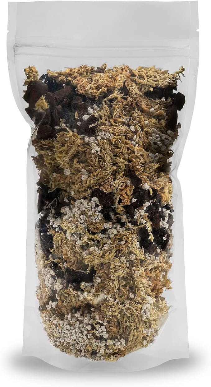 GARDENERA Premium Preserved Reindeer Moss for Potted Plants, Terrariums, Fairy Gardens, Arts and Crafts or Floral Decor Design in Natural (3 Quart Bag)