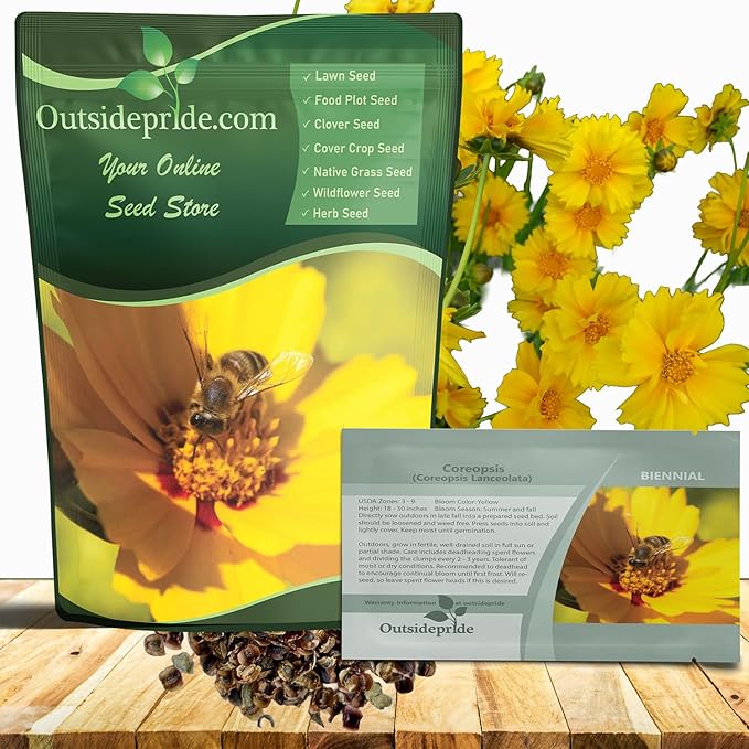 Outsidepride Lance-leaved Coreopsis Seeds - 5000 Pcs Perennial, Humidity & Drought Tolerant Flower Seeds for Planting Clumping Vibrant Golden Blooms, Ideal for Xeriscaping and Low Maintenance Gardens