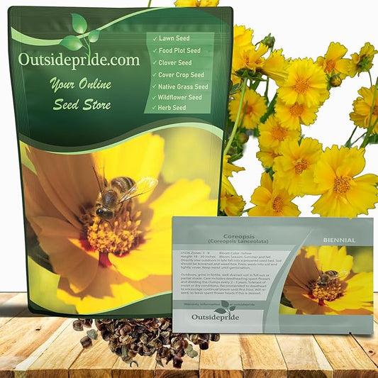 Outsidepride Lance-leaved Coreopsis Seeds - 1 lb. Perennial, Humidity & Drought Tolerant Flower Seeds for Planting Clumping Vibrant Golden Blooms, Ideal for Xeriscaping and Low Maintenance Gardens