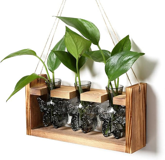 Glass Plant Propagation Station Butterfly Planter Vase with Wooden Stand Birthday Gifts for Women Mom Plant Lovers Office Home Decoration