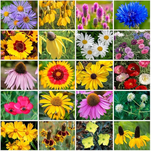 Grow Your Own Vibrant Annual and Perennial Wildflower Garden Seeds Mixture, Varieties for Pollinators and Spring Gardens - Midwest Regional Mix, 1 lb