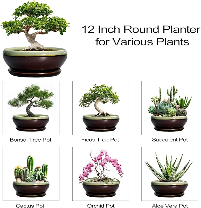 SQOWL Bonsai Pots 12 Inch - Large Ceramic Pots for Succulents with Drainage Hole and Saucer, Shallow Planter for Indoor Plants Outdoor, Round Planter Bowl, Office Decor, Gifts for Women, Green-Brown