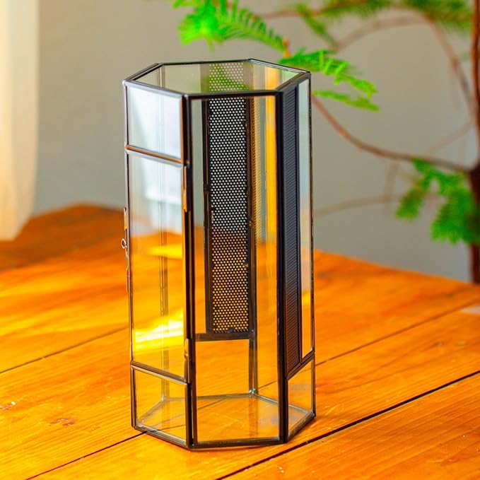 NCYP Small Glass Enclosure Terrarium with Mesh and Door for Jumping Spiders, Insects - Hexagon Shape Succulents Terrarium 4.9'' x 3.9'' x 9.4'', Tabletop Decor, Black (Plants Not Include)