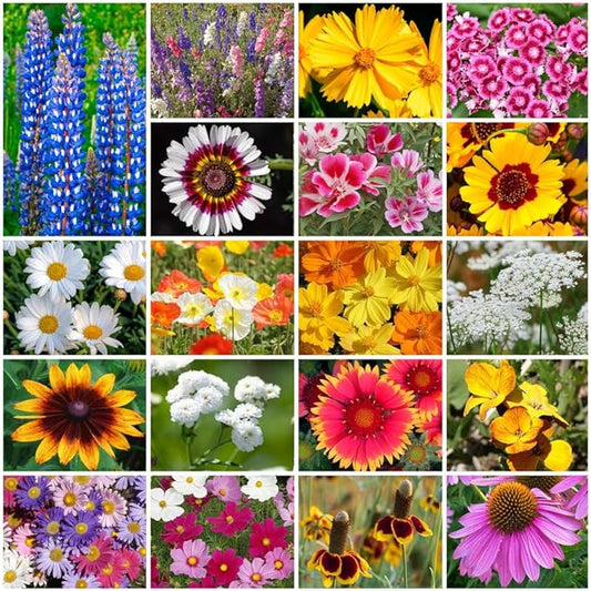 Grow Your Own Vibrant Annual and Perennial Wildflower Garden Seeds Mixture, Varieties for Pollinators and Spring Gardens - Cutting Garden Mix, 1/4 lb