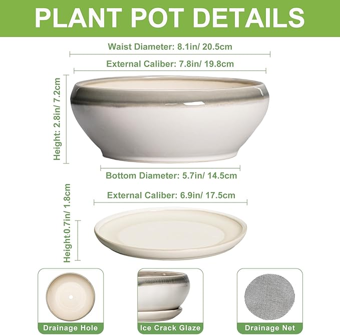 SQOWL Bonsai Tree Pots - 8 Inch Ceramic Succulent Pots with Drainage Hole and Saucer, Shallow Round Planter Indoor Outdoor, Ceramic Bonsai Pot, Planter Bowl, House Decor, Plant Lover Gift, Gray-Beige
