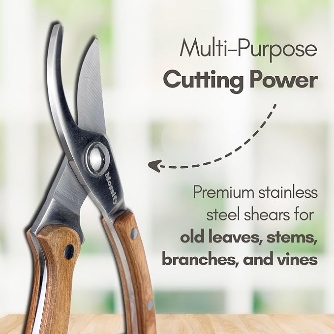 Mossify Garden Shears 8” – Premium Stainless Steel Pruning Shears for Gardening with Wooden Handle – Hand Pruners, Plant Clippers & Garden Scissors – Sharp Garden Tool for Left & Right Hand Use
