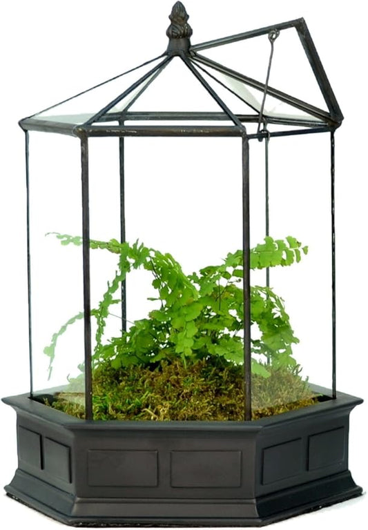 H Potter Glass Terrarium Succulent Planter Wardian Case Plant Container Six Sided WAR151