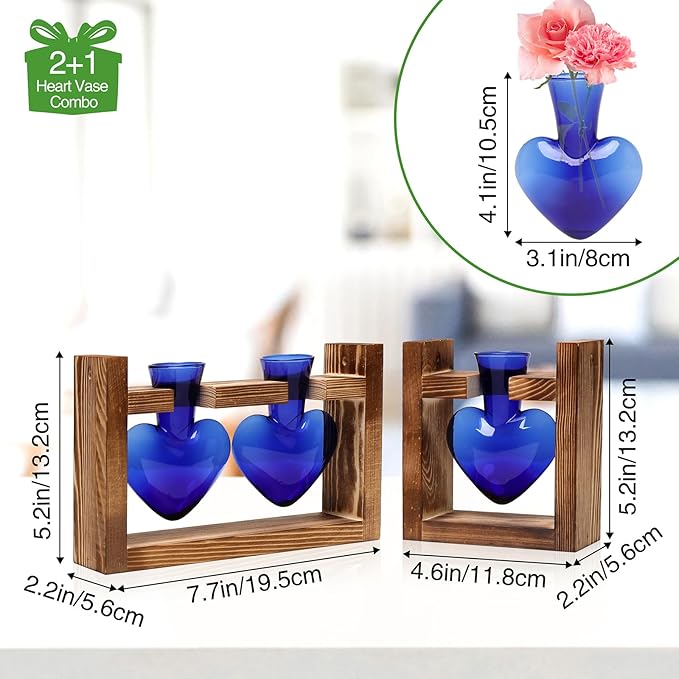 2+1 Plant Terrarium Plant Propagation Station Birthday Gifts for Women Home Office Decor with Wooden Stand
