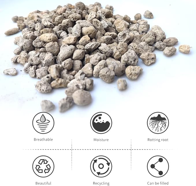 Horticultural Pumice for Plants Professional Sifted (8QT, 3/8 inch)