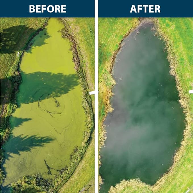 Airmax Knockdown Defense 2-in-1 Liquid Pond Algae Control, Effective & Fast Acting Algaecide, Aquatic Weed Treatment for Clear Water in Ponds & Lakes, Liquid Formulation, 16 oz with Treatment Booster