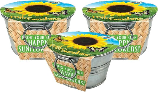 Grow Your Own Mini Sunflowers Plant Seeds 3-Pack, DIY Indoor Succulents and Live Plants for Home or Garden Planting, Pail of Sunshine